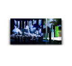 Перекодированная свобода