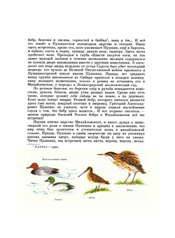 Под пологом леса. Новеллы о Михайловском | С.С. Гейченко