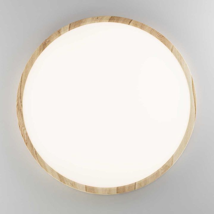 Потолочный светильник Citilux Бейсик Клен CL738322V