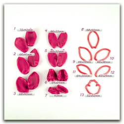 Орхидея цимбидиум