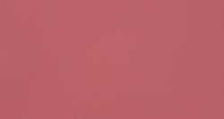 Атлас Kiwi (Киви) 30