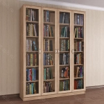 Шкаф книжный 4/1