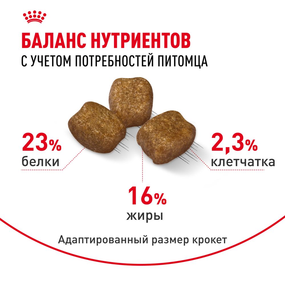 Сухой корм Royal Canin Mini Dental Care для собак мелких размеров, предрасположенных к образованию зубного камня