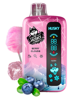 HUSKY AIR MAX PRO 20000