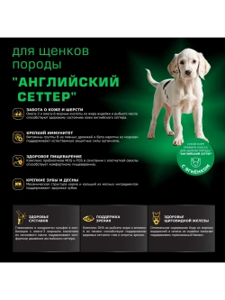 Корм для щенков породы Английский сеттер, с ягненком, 12 кг