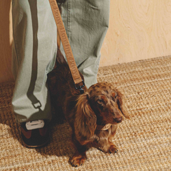 Поводок «Пони-Компаньони» 5 метров HuntingPony