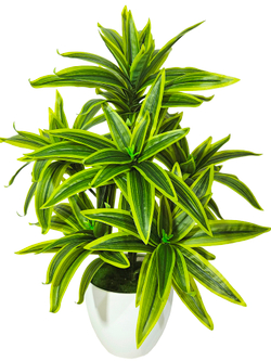 Искусственное растение Драцена Сюрприз желтая в кашпо