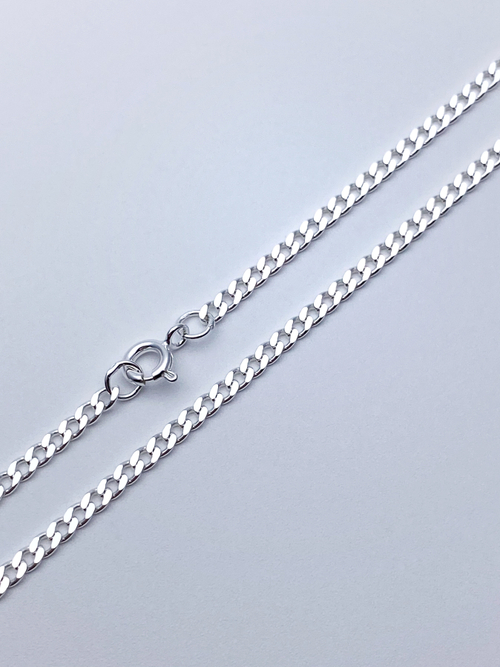 Цепь из серебра/Панцирь