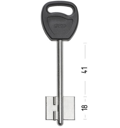 Заготовка сувальдного ключа 10658 ГАРДИАН-2 GRD2DP(Пластик)
