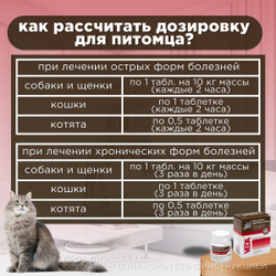 Таблетки для собак и кошек профилактики и лечения Фитоэлита Здоровые почки, 50 таблеток , Экстракты лекарственных трав, VEDA