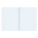 Тетрадь предметная ПАСТЕЛЬНАЯ 48 листов, обложка картон, ИНФОРМАТИКА, клетка, подсказ, BRAUBERG, 403959