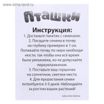 Детский набор для выращивания растений, "Пташки в горшочке", опыты и эксперименты для детей