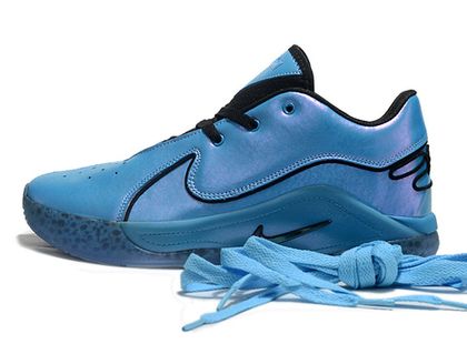 Nike LeBron TR 1 30 Basketroom.ru