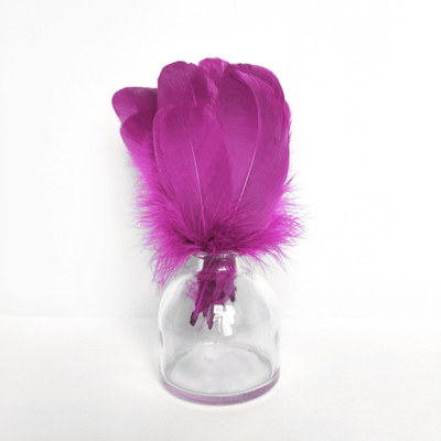 Гусиные перья баклажан скругленные 20шт.