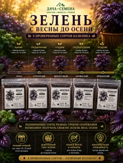 Базилик фиолетовый семена на зелень набор