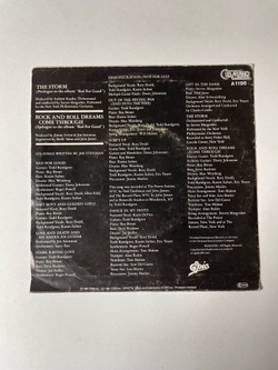Винтажная виниловая пластинка LP Jim Steinman The Storm / Rock And Roll Dreams Come Through (Holland 1981) 7 дюймов