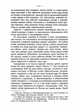 О клетках стекловидного тела | Потехин Анатолий Антипович