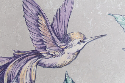 HC71541-14 Обои Home Color COLIBRI 1,06х10м / виниловые на флизелиновой основе