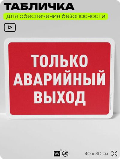 Табличка для обеспечения безопасности "Только аварийный выход", для офиса, по охране труда для предприятия, организаций, 40х30 см, Silver Plane x Айдентика Технолоджи