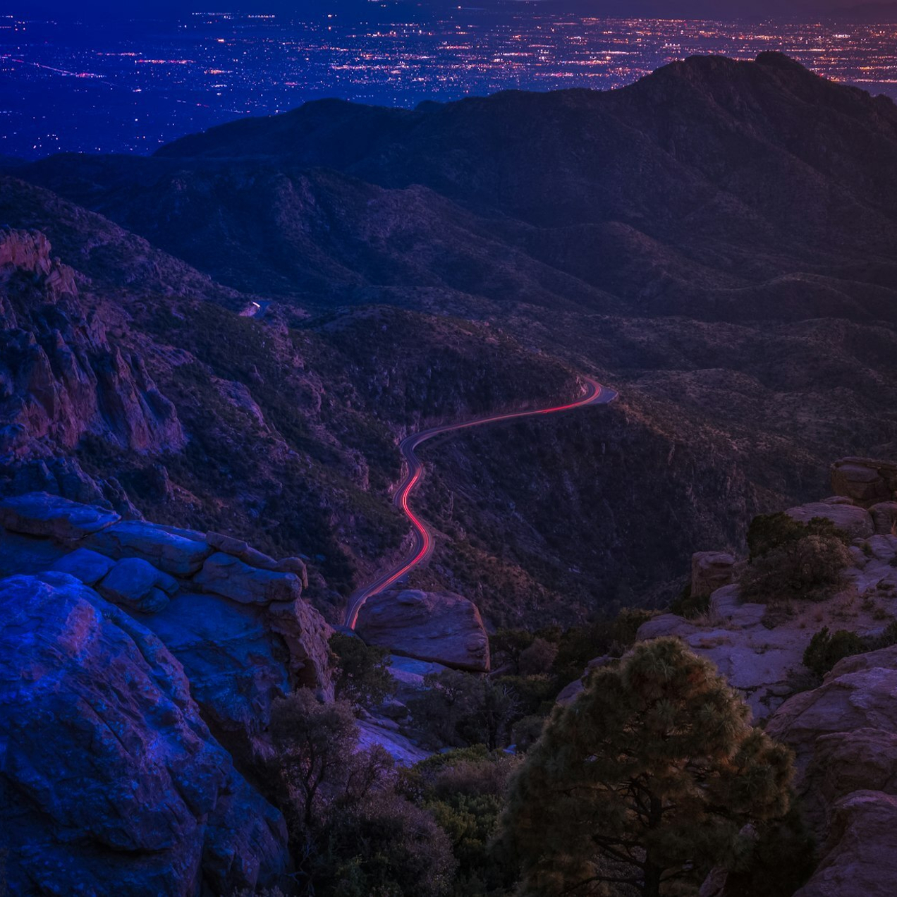 Получите смету сейчас!