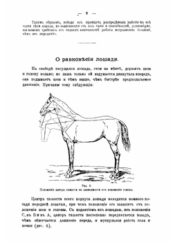 Иллюстрированный курс верховой езды | Шахматов Вячеслав Александрович