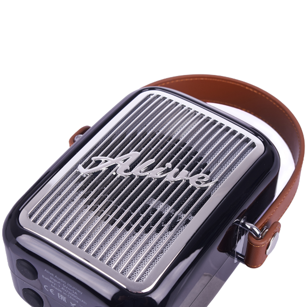 Беспроводная колонка Alive Audio Journey (Black)