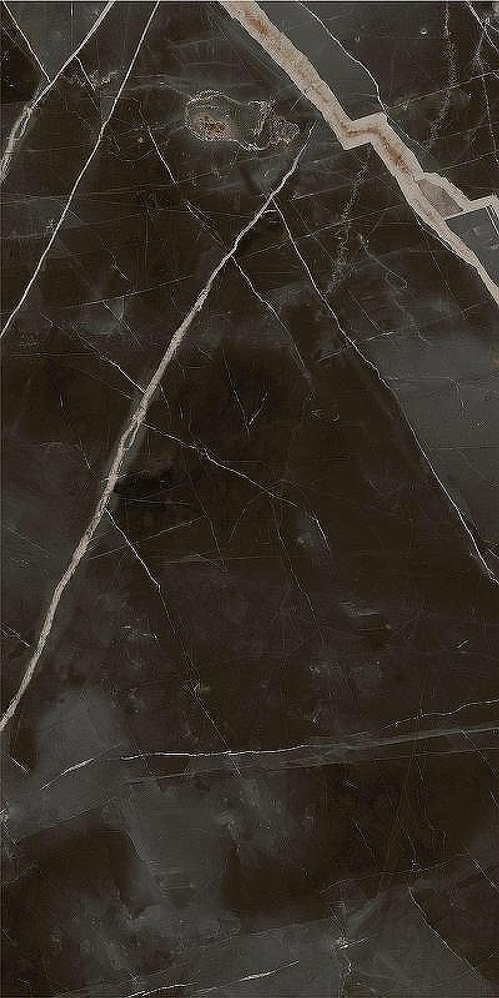 Керамогранит Italon Stellaris Absolut Black шлиф 610015000682 60х120 см