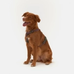 Анатомическая шлейка Jungle