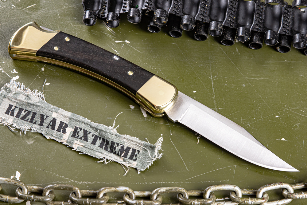 Складной нож Folding Hunter B0110BRS