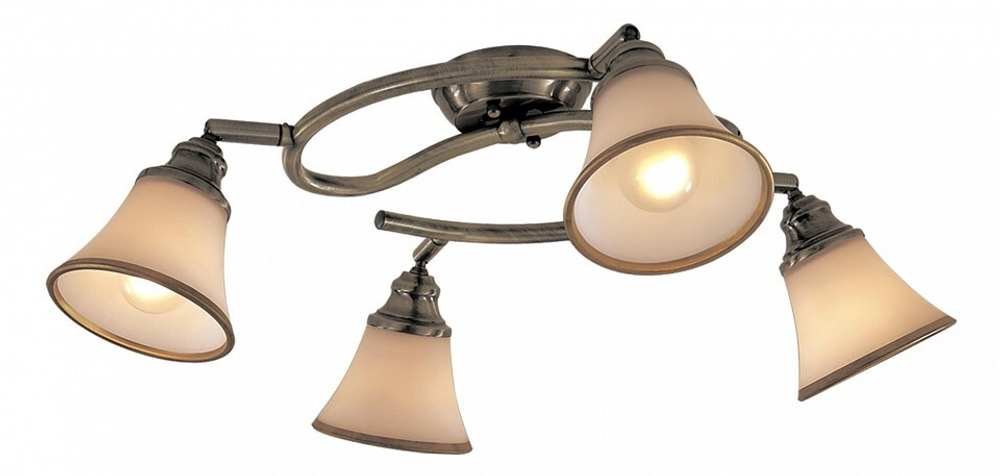 Спот Citilux Прованс CL511143