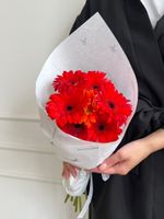 Кулек из гербер в красном оттенке 7 шт