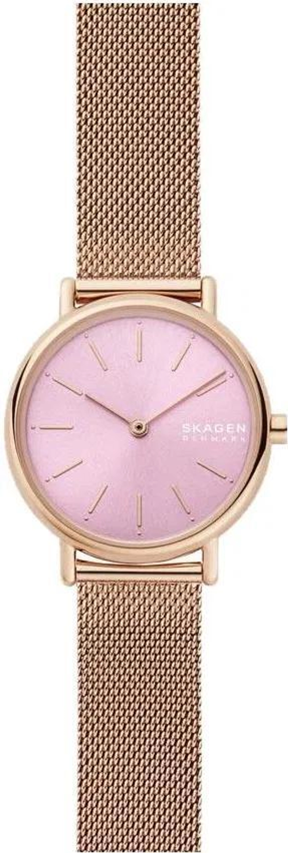 Женские наручные часы Skagen SKW2975