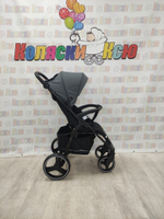 Коляска прогулочная Rant Basic Alpine Graphite 2025