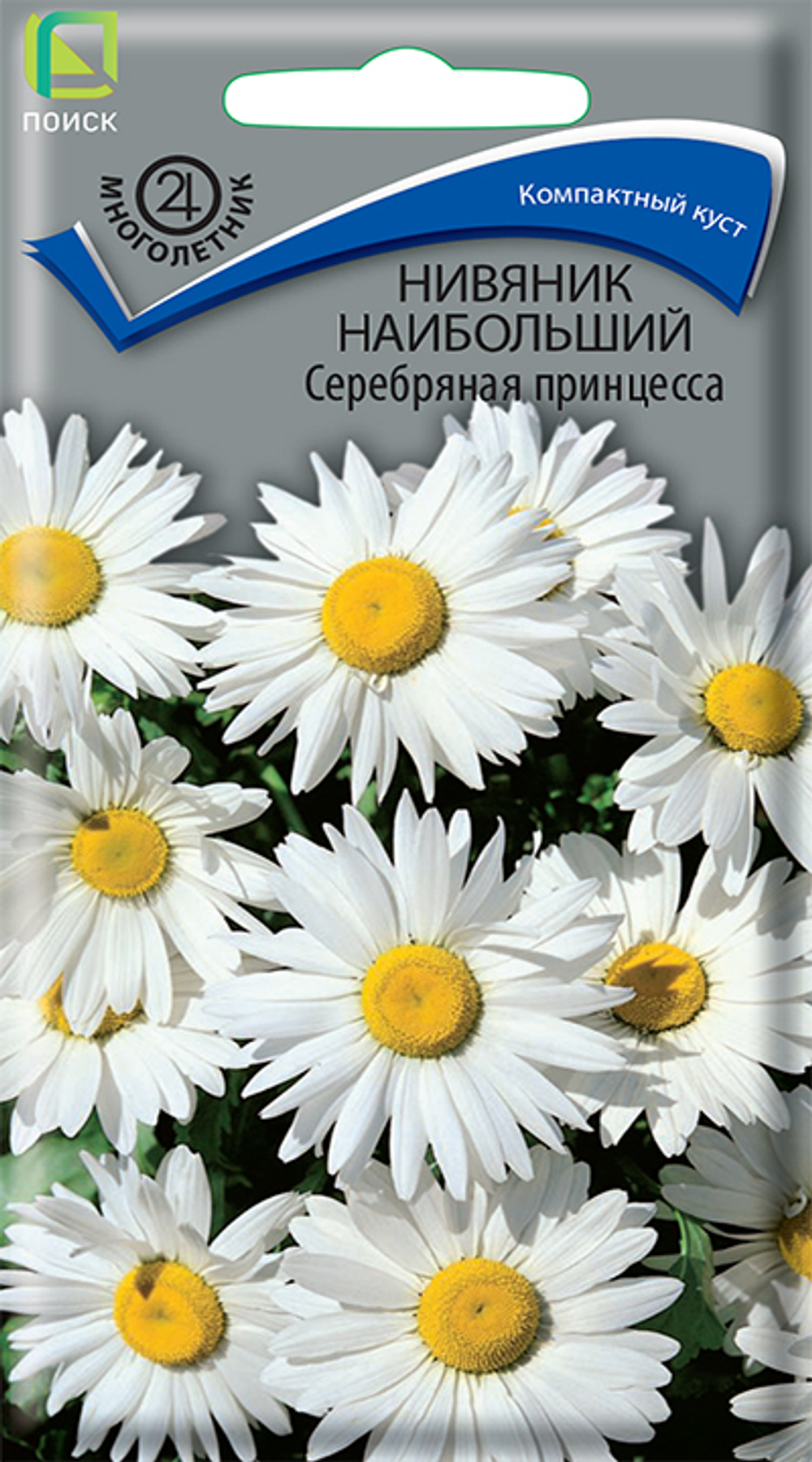 Нивяник наибольший Серебряная принцесса