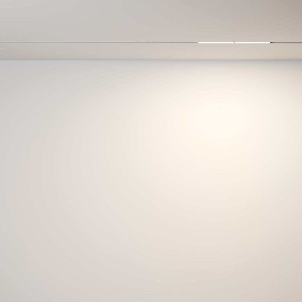 Трековый магнитный светодиодный светильник Maytoni Exility Parete TR106-2-12W3K-W