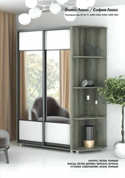 Шкаф купе 2 ств. "Оникс-Люкс/София-Люкс/Экон-Люкс"