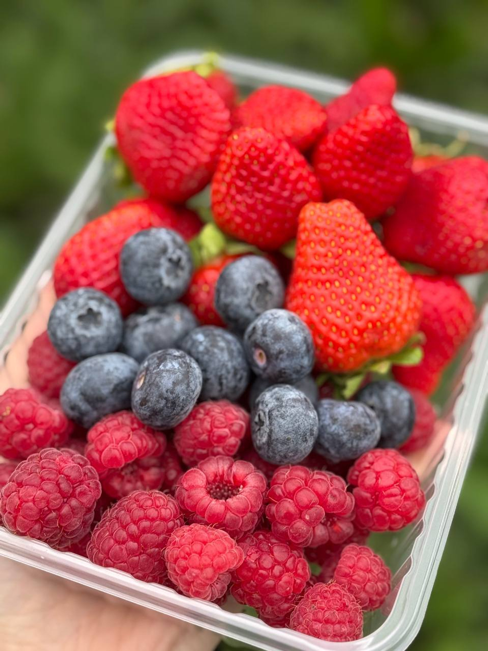 Ассорти из ягод (клубника, малина, голубика)