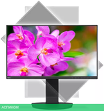 Монитор NEC EA241F-BK