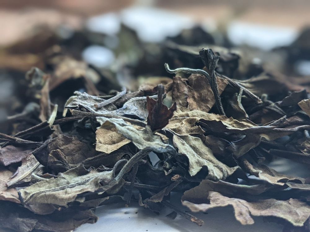 Белый Лунный Свет, выдержанный (Юэ Гуан Бай), 3 года