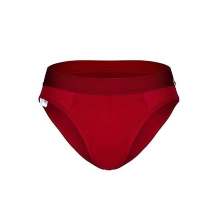 Мужские трусы брифы бордовые DARKZONE DZNBM6307
