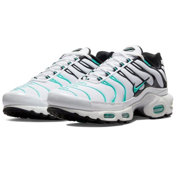 Кроссовки Nike Air Max Plus Мужские