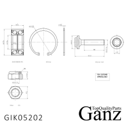 Подшипник ступицы передний FORD Galaxy I/VW Sharan 952010 GANZ GIK05202