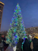 Уличная елка ствольная "Альпийская изумрудная" (пвх бело-зелёная) 19 м