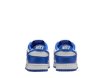 Баскетбольные кроссовки Nike Dunk Low Retro Blue Shoes