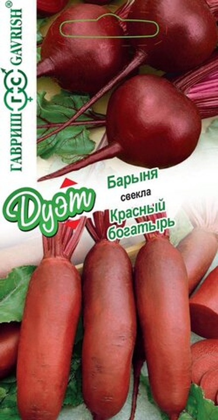 Свекла Барыня+Красный Богатырь