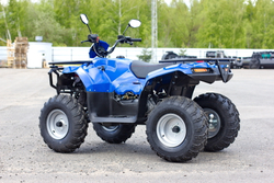 Квадроцикл Irbis ATV 200 LUX (с лебедкой)