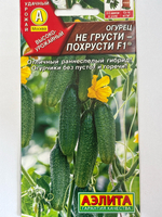 Огурец Не грусти похрусти F1 10 шт СМО-130