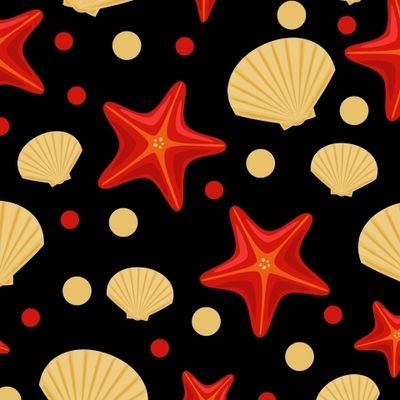 Морская звезда и ракушки на черном фоне