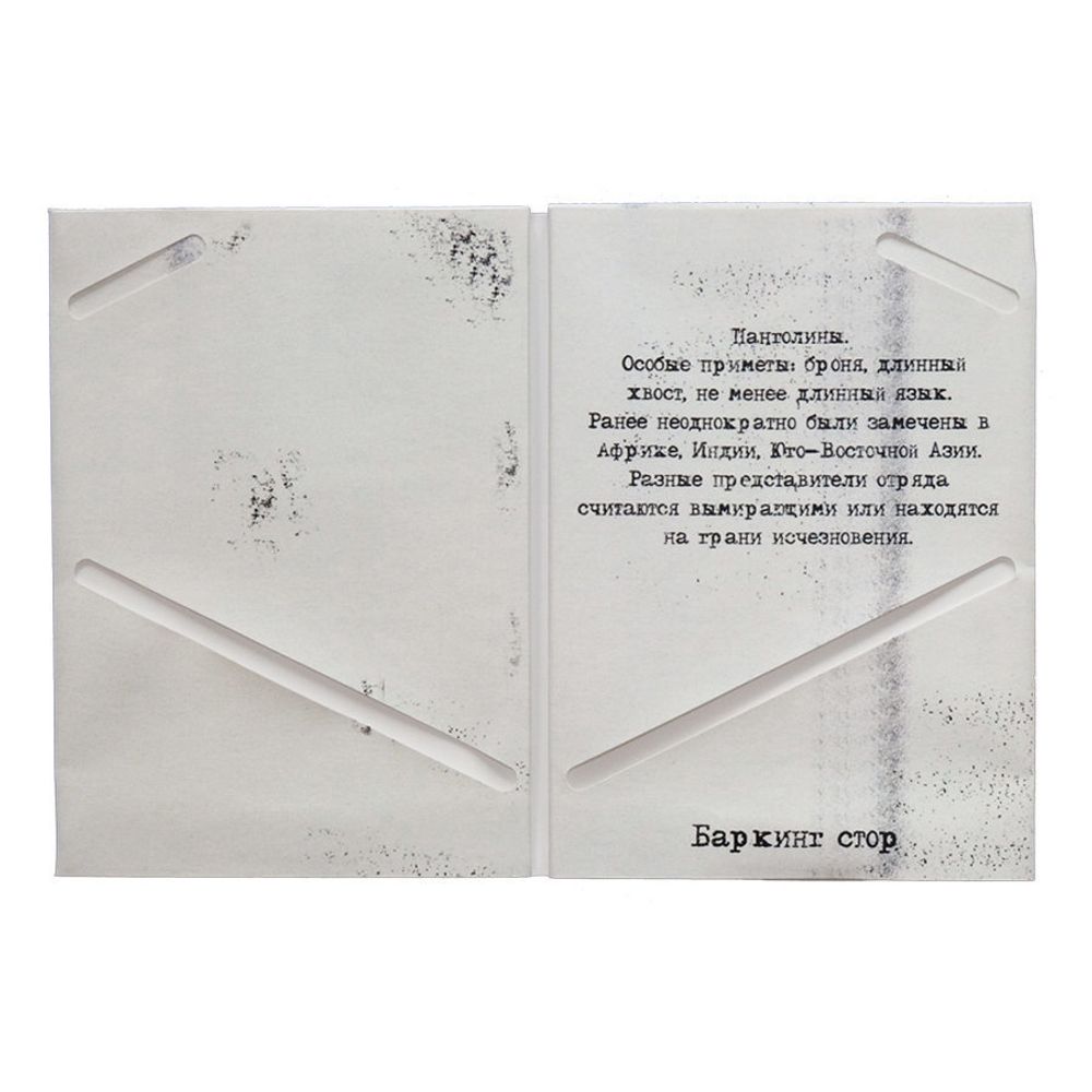 Купить Обложка для паспорта Панголин Обложка для паспорта Панголин