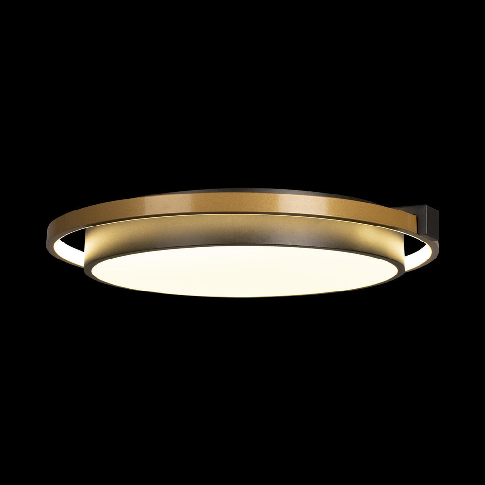 10170 Потолочный светильник LOFT IT Mike